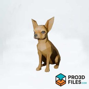 Chó Chihuahua Đa giác Thấp - P3F0018
