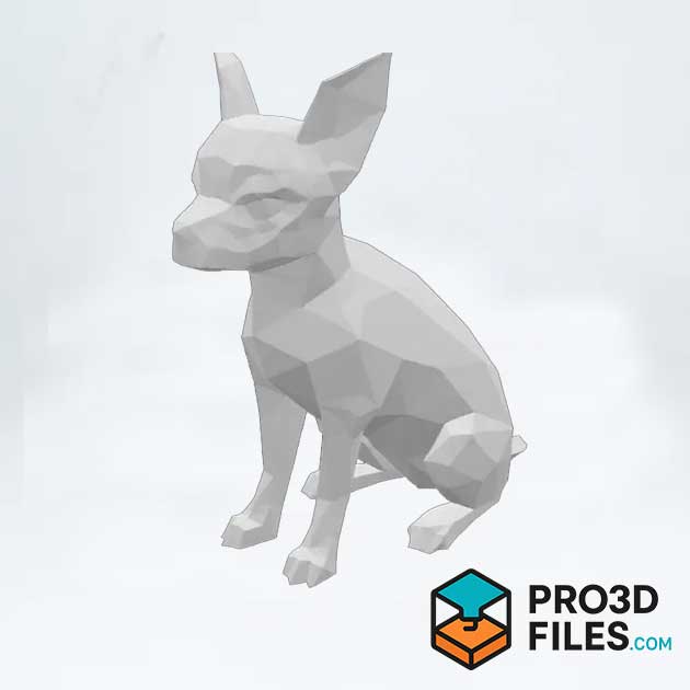 Chó Chihuahua Đa giác Thấp - P3F0018