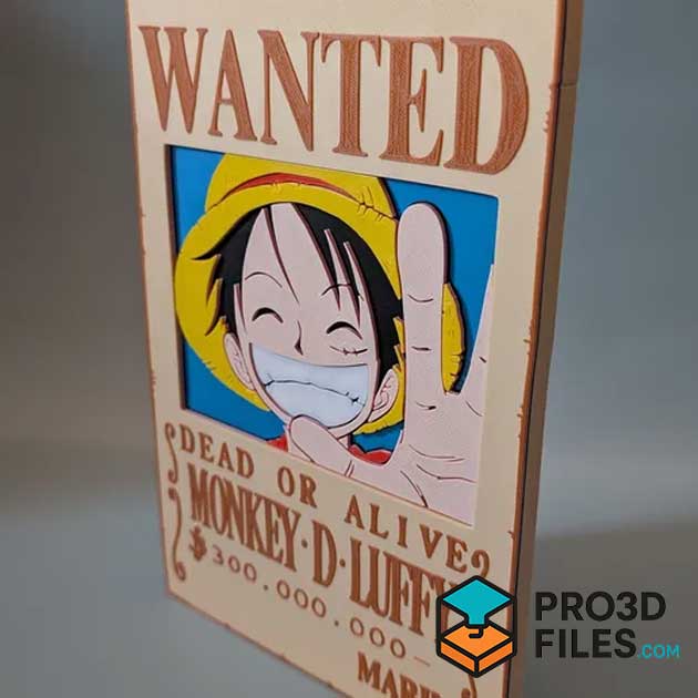 Lệnh truy nã Đầu Tiên Của Luffy - P3F0017