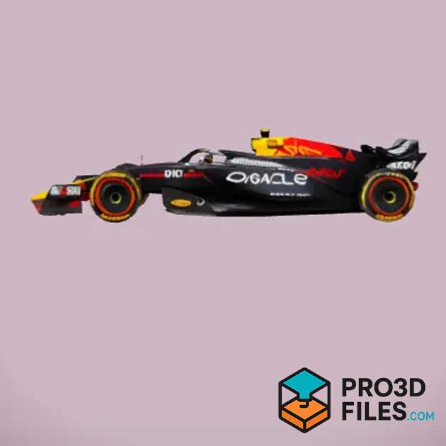 Xe đua F1 - P3F0063